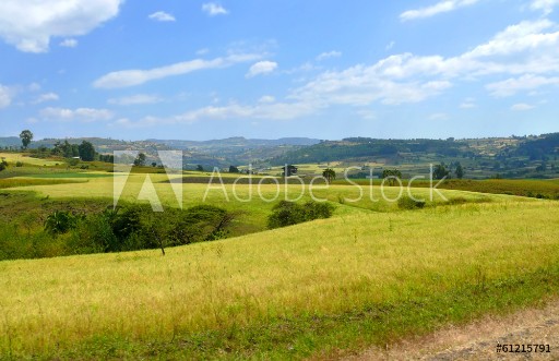 Picture of Africa Ethiopia Landscape of the African nature Mountains va